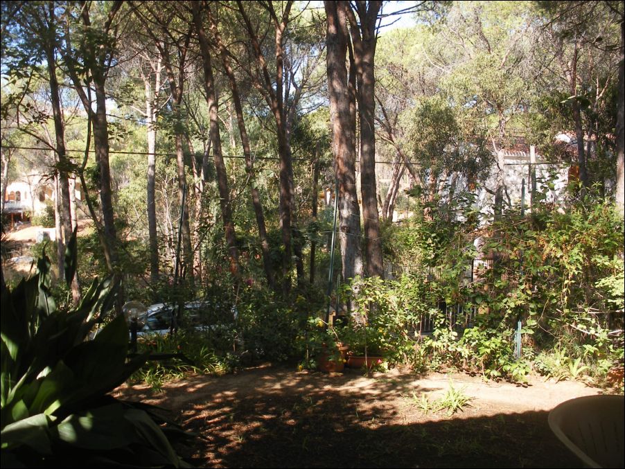 sardegna 2009 024
